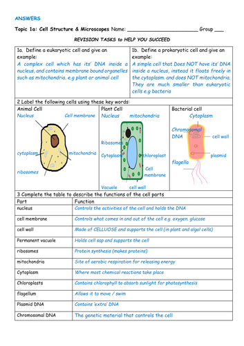 Topic 1 Cell Biology Revision Pack | Teaching Resources