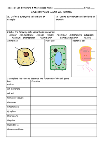 Topic 1 Cell Biology Revision Pack | Teaching Resources