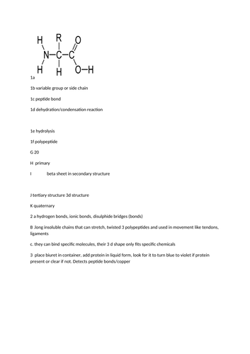 docx, 50.36 KB