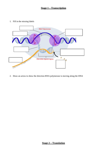 docx, 288.4 KB