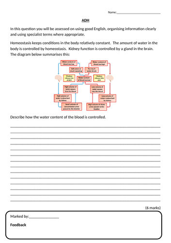 AQA KS4 GCSE Biology (Science) Homeostasis Revision Lesson & Activities ...
