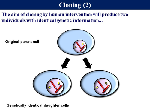 Bio6.14 Selective Breeding & Cloning | Teaching Resources