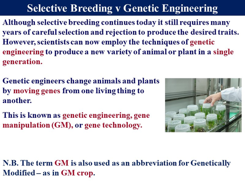 Bio6.14 Selective Breeding & Cloning | Teaching Resources