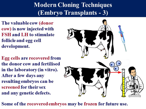 Bio6.14 Selective Breeding & Cloning | Teaching Resources