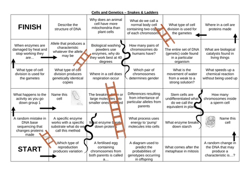 Snakes & Ladders: Cells & Genetics | Teaching Resources