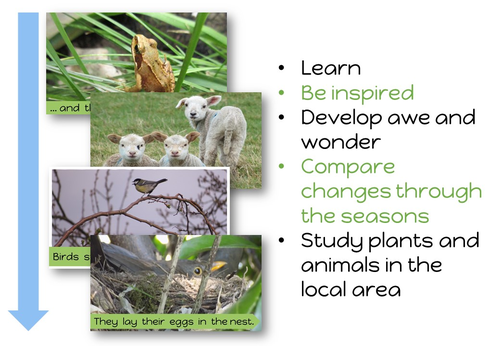 All about Spring: PowerPoint | Teaching Resources