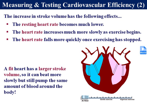 Bio2.9 General Fitness & Cardiovascular Health | Teaching Resources