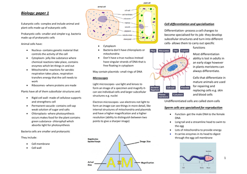 The complete paper 1 AQA GCSE Higher Biology notes | Teaching Resources
