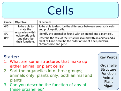 OCR GCSE (9-1) B1 Cell-Level System lessons | Teaching Resources