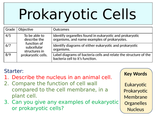 OCR GCSE (9-1) Biology - Prokaryotic Cells | Teaching Resources