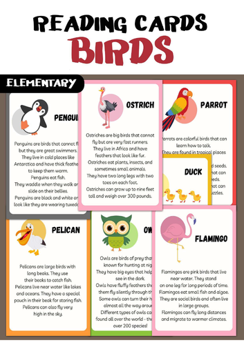 Birds. Reading cards.