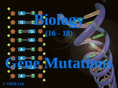 Bio6.10 Gene Mutations | Teaching Resources