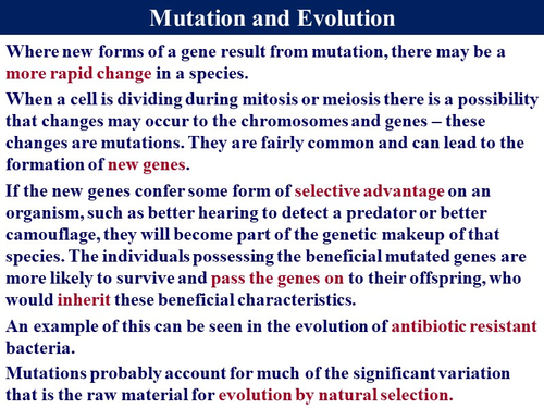 Bio6.10 Gene Mutations | Teaching Resources