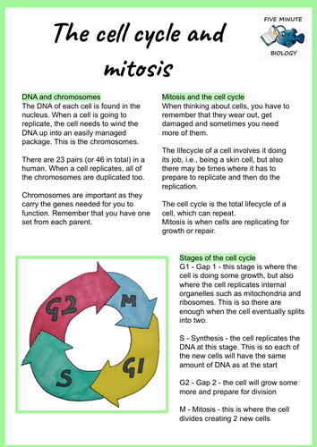 AQA GCSE Biology Cell Cycle and Mitosis Revision Sheet