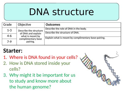 OCR GCSE (9-1) Biology - DNA