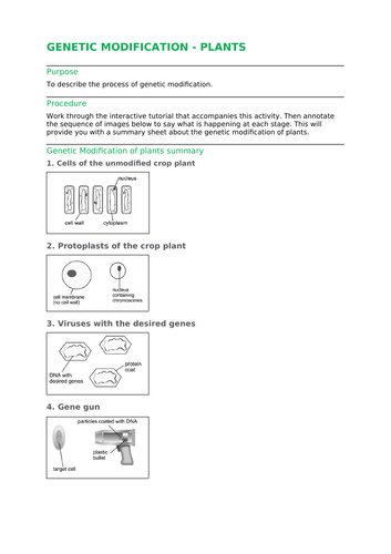 docx, 311.83 KB