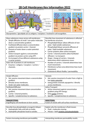 AQA AS Biology 2B Cell Membranes | Teaching Resources