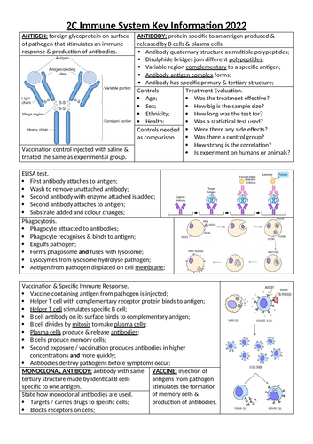 AQA AS Biology 2C Immune System | Teaching Resources