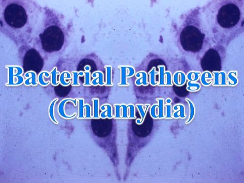 Bio2.6 Communicable Disease 1 - Bacteria (Salmonella & Chlamydia ...