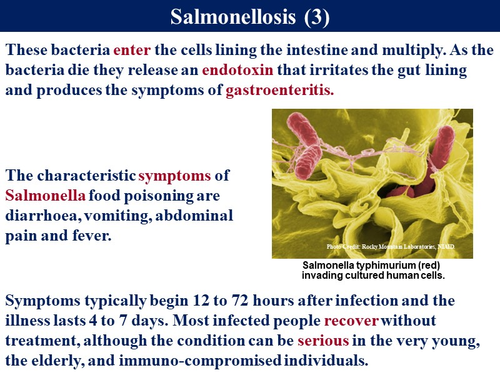 Bio2.6 Communicable Disease 1 - Bacteria (Salmonella & Chlamydia ...