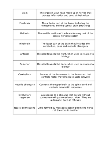 GCSE Psychology Edexcel. Topic : Development (Early Brain Development ...