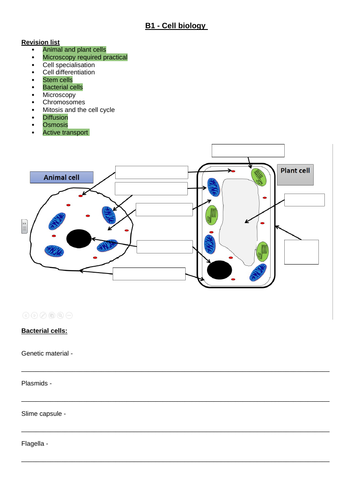 AQA Biology Paper 1 Revision 2023 | Teaching Resources