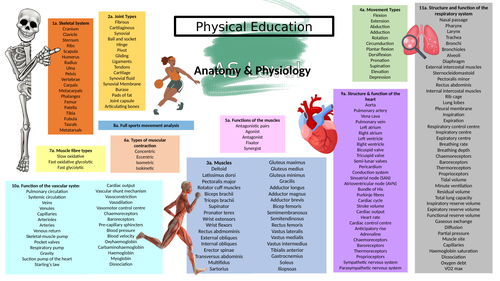 Cambridge AS PE - keyword mat