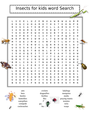 Word Search Puzzles Set #3 - 3 Puzzles | Teaching Resources