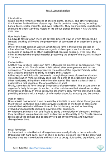 Fossil comprehension worksheet KS3 | Teaching Resources