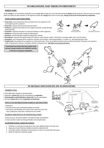 docx, 82.39 KB