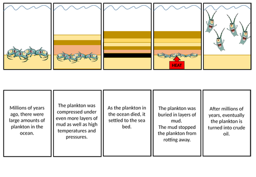 Formation of Crude Oil Storyboard | Teaching Resources