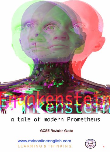 Frankenstein visual data 4