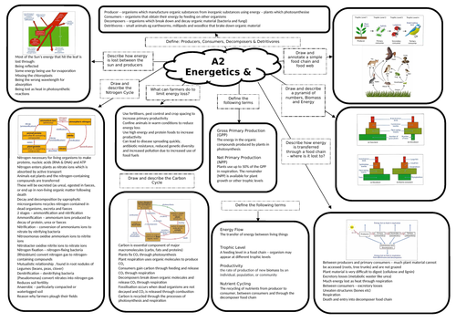 A2 Biology - Completed Energetics & Nutrient Cycling Revision Mat ...