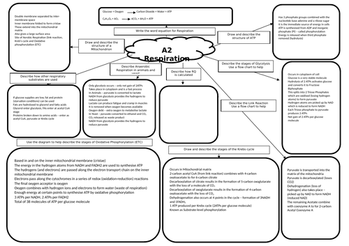 A2 Biology - Completed Respiration Revision Mat | Teaching Resources