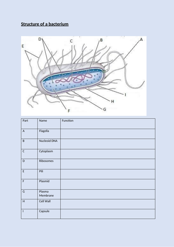 docx, 32.84 KB