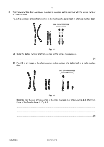 pdf, 243.6 KB