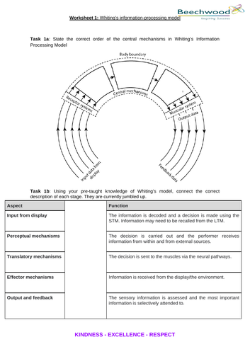 Whiting’s information processing model | Teaching Resources