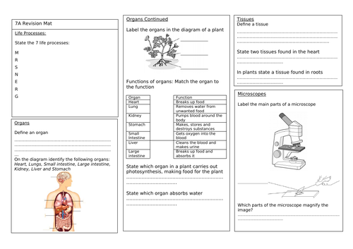 Exploring Science Revision Mats Year 7 | Teaching Resources