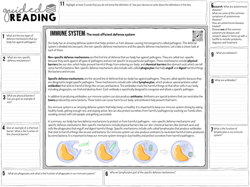 pdf, 124.5 KB