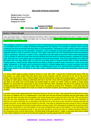 pe coursework netball example