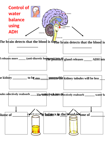 docx, 104.63 KB