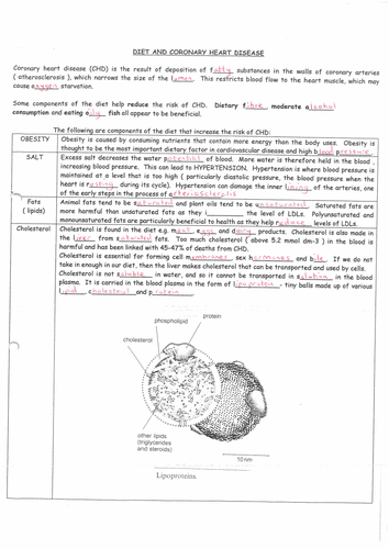 pdf, 1.57 MB