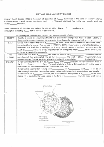 pdf, 1.45 MB