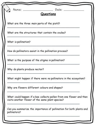 Y3 - Y6 Plants Reading Comprehension - Science revision | Teaching ...