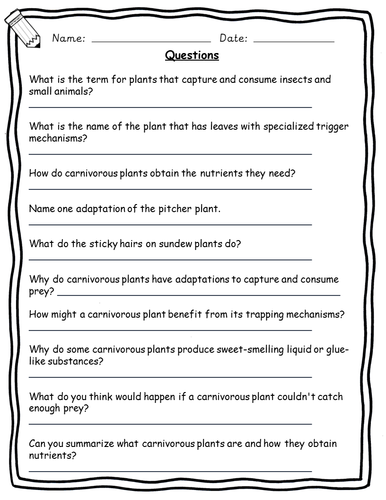 Y3 - Y6 Plants Reading Comprehension - Science revision | Teaching ...