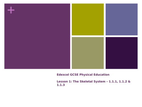 Skeletal System - Lesson 1, 2 , 3, 4&5