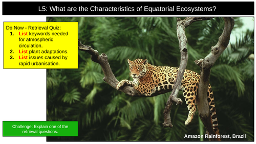 Equatorial Ecosystems Rainforests