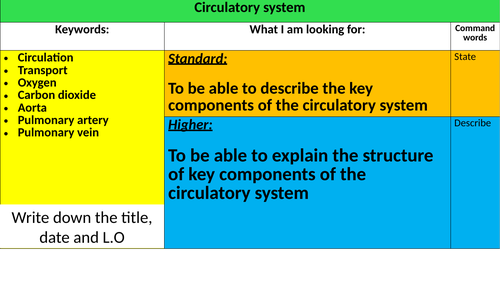 assignment circulatory system