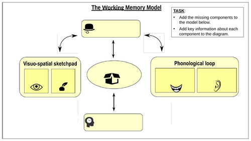 A-Level Psychology - THE WORKING MEMORY MODEL [Memory Topic] | Teaching ...