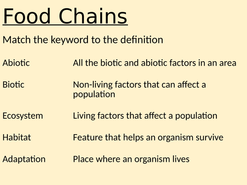 Ecosystem Food Chains Biology Diagrams